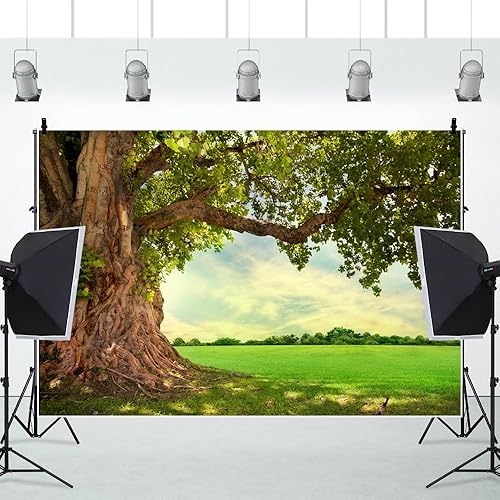 Miniatura 5 de CSFOTO Fondo de poliéster de 7 x 5 pies, paisaje rural, campo, primavera, verano, campo, pícnic, al aire libre, telón de fondo de naturaleza para