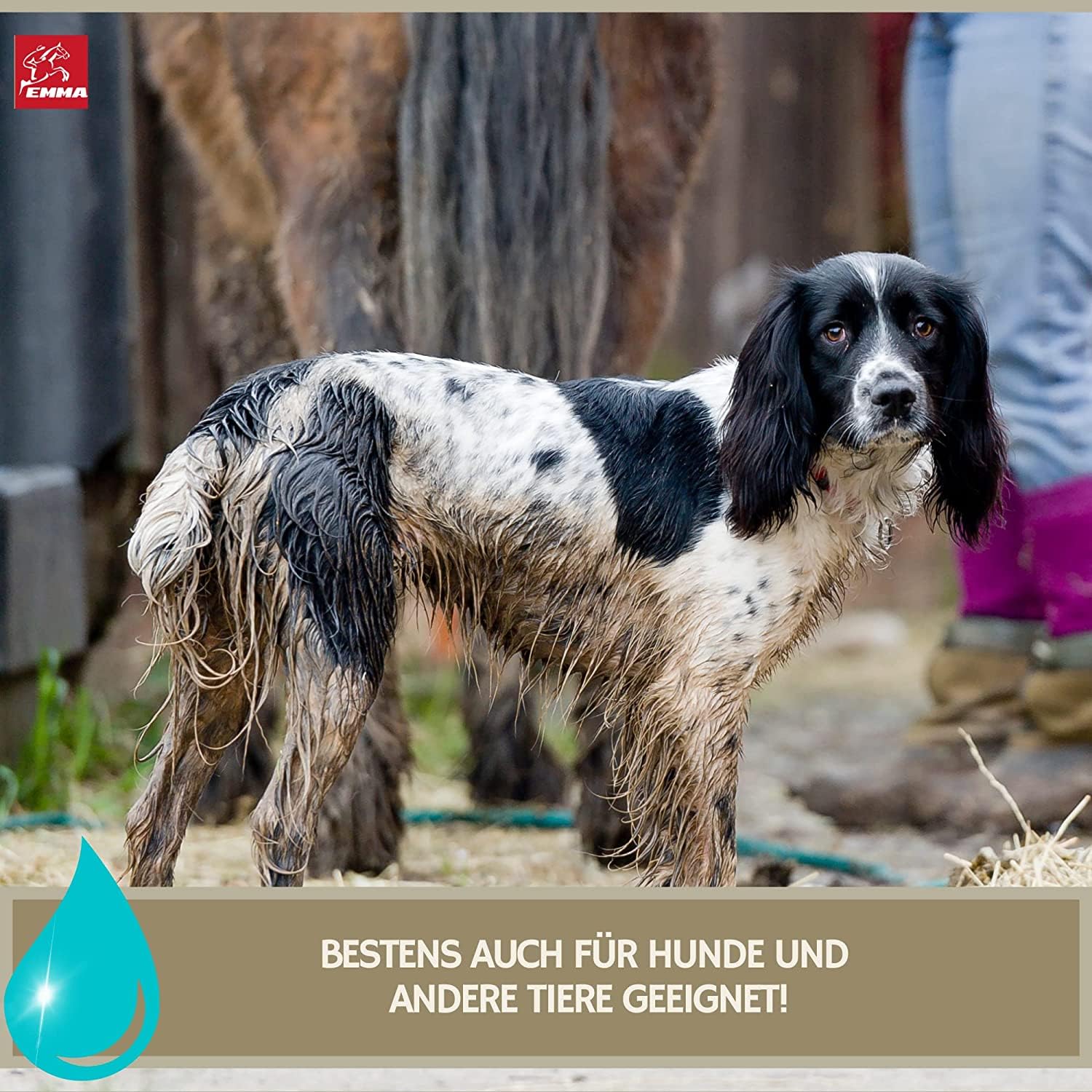 Mähnenspray für Pferde Set 6 Teile mit Mane n Tail Shampoo Sattelseife Leder Huffett Pferde Pferdeleckerlis Schwamm – Pferdepflege Set Kinder – Putzzeug Pferdepflege Pony – Pferde Mädchen Geschenk