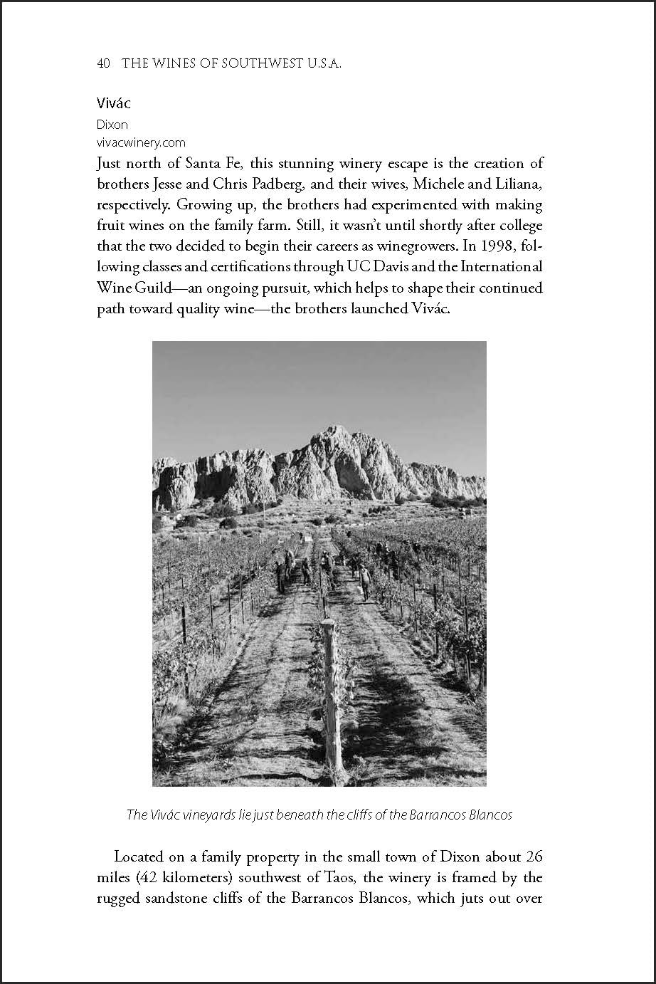 The Wines of Southwest U.S.A.: A Guide to New Mexico, Texas, Arizona and Colorado (The Classic Wine Library)      Paperback – February 6, 2024