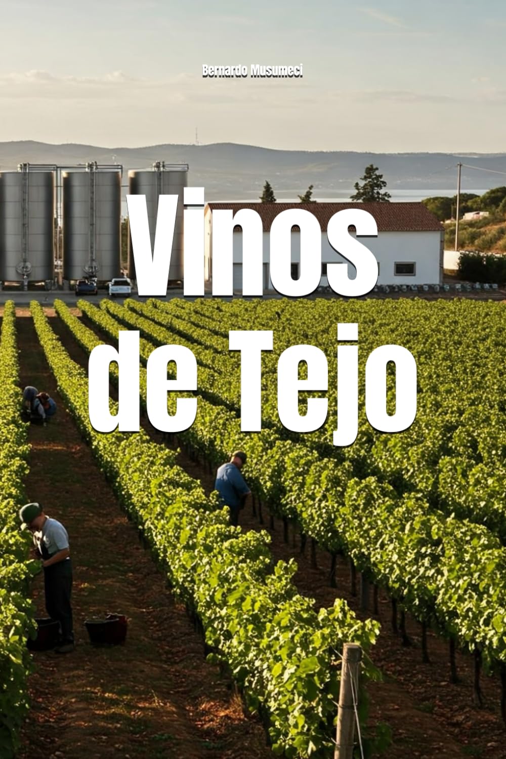 Vinos de Tejo (Wines of the World: Portugal)