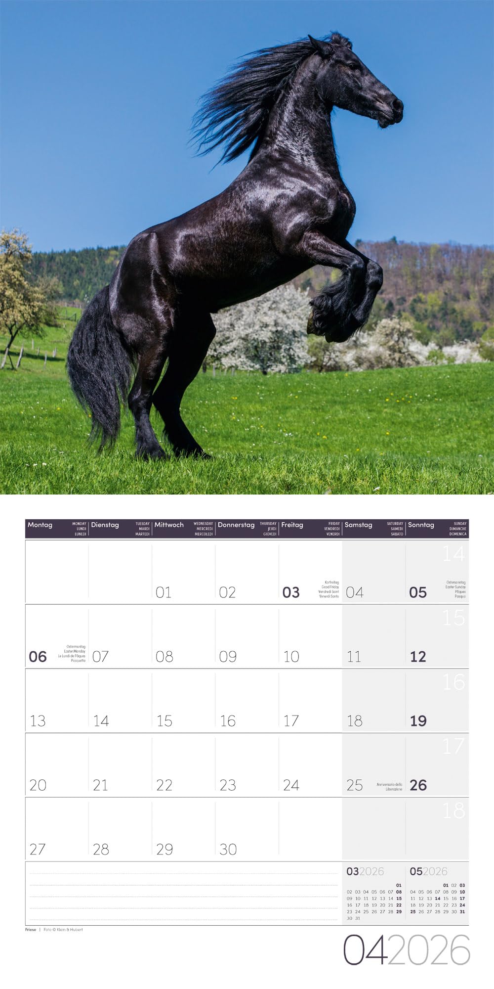 Pferde Broschürenkalender 2026 - 30x30 - Art12: Bildstarker Tier-Kalender im schlanken Hochformat (aufgeklappt 30x60 cm) | mit Eintrage-Kalendarium