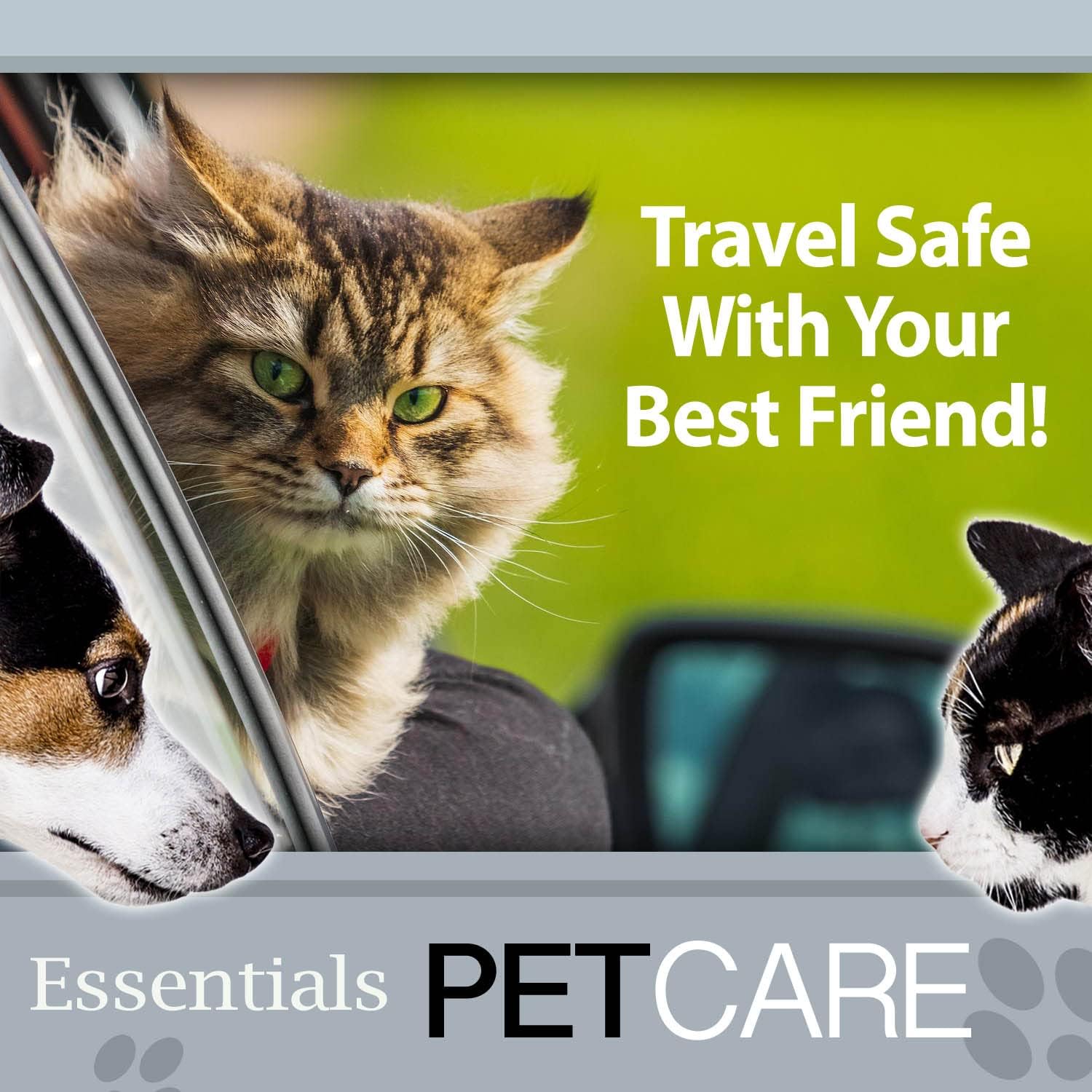 VFM/Crufts -Universal Pet Seat Belt Travel Restraint 3 Assorted Car Buckles, Animal Pattern - Image 5