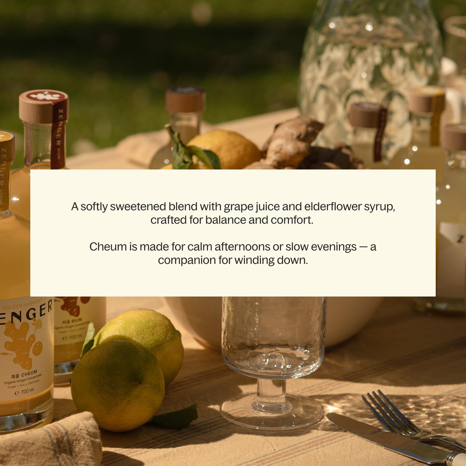 ZENGER Golden Harmony CHEUM– Premium Bio Ingwer Elixir (700 ml x 6er Pack) | Natürliches Ingwerkonzentrat | Alkoholfrei | Für Tee-Rituale, Mocktails & Daily Wellness