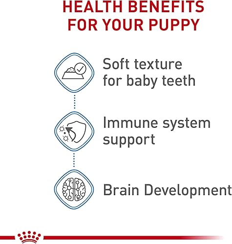 Miniatura 4 de Royal Canin Size Health Nutrition - Alimento húmedo para perros grandes en salsa para cachorros, lata de 13 onzas (paquete de 6)