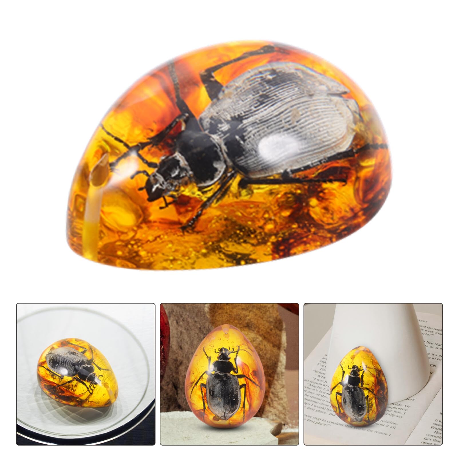 Amazon | Vaguelly 琥珀 化石 昆虫、昆虫 樹脂 虫 標本 セット