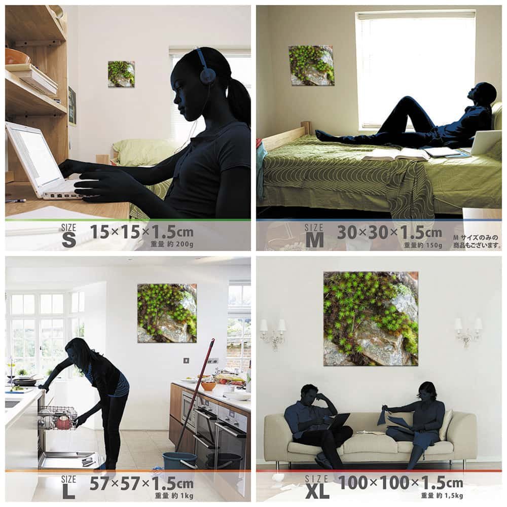 Amazon.co.jp: 植物 自然 アートパネル 100cm × 100cm XLサイズ 日本製