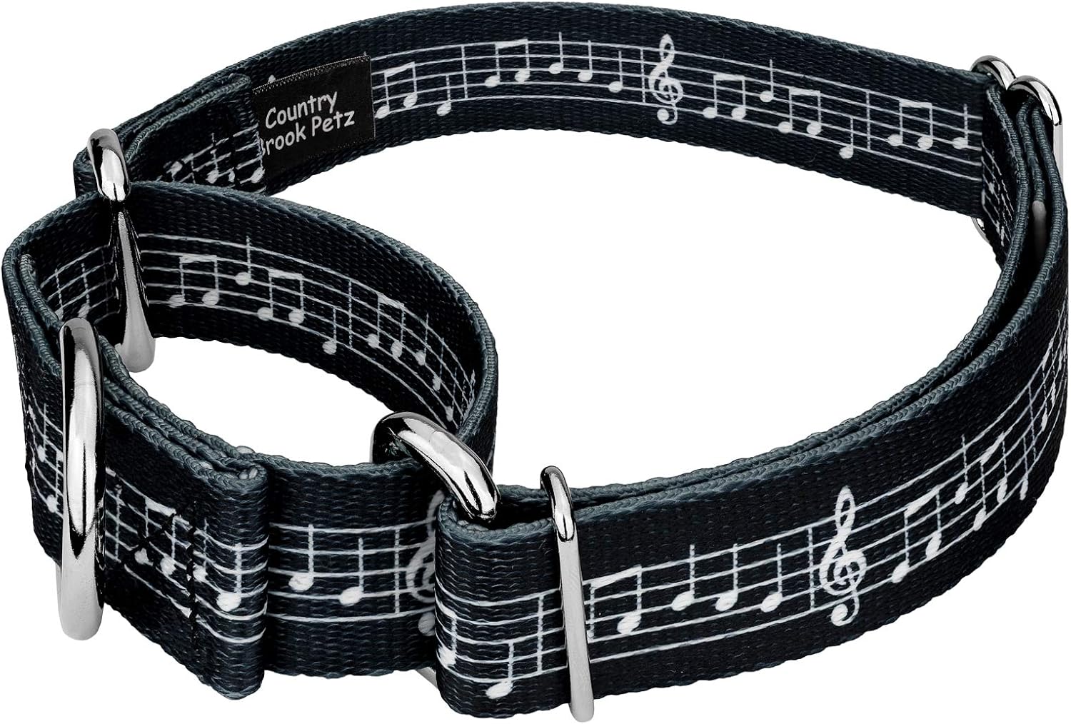 Country Brook Petz - Sheet Music Martingale Dog Collar and Leash - Geek Chic Collection Featuring Designs for Any Mega Fan (1 Inch, Large)