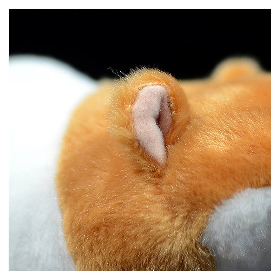 超激レア　ハムスターパラダイス　ぬいぐるみ　特大 41JA6Uyo7DL.jpg_BO30,255,255,