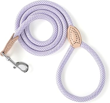 Mile High Life Dog Leash with Genuine Leather Connection, Reflective | Rope Leash, Heavy Duty 360 Swivel Metal Clasp, for Small Medium & Large Dogs Walking Purple, 48 Inch-1/2