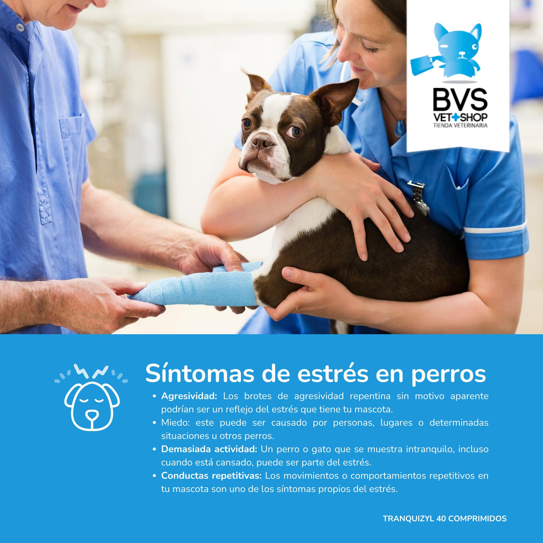 BVS Vet Shop | Tranquizyl 40 comprimés pour Chiens | Complément idéal pour Aider Votre Animal à se détendre et à Rester Calme dans Les Situations stressantes | 225 MG