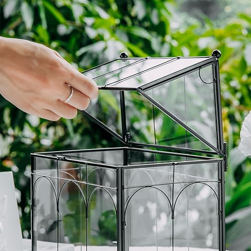 Miniatura 10 de NCYP Terrario de vidrio negro de 7.5 x 4.9 x 9 pulgadas con tapa para caracoles de insectos, maceta geométrica para cactus plantas de aire y