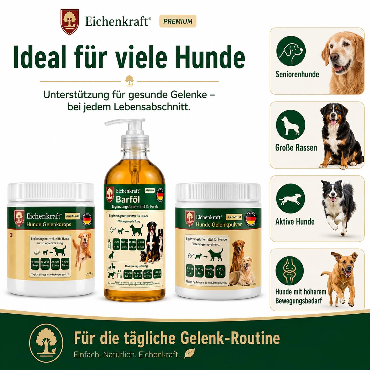Grünlippmuschel Hund 3er Set Gelenkdrops Gelenkpulver Lachsöl Barf Öl Hunde
