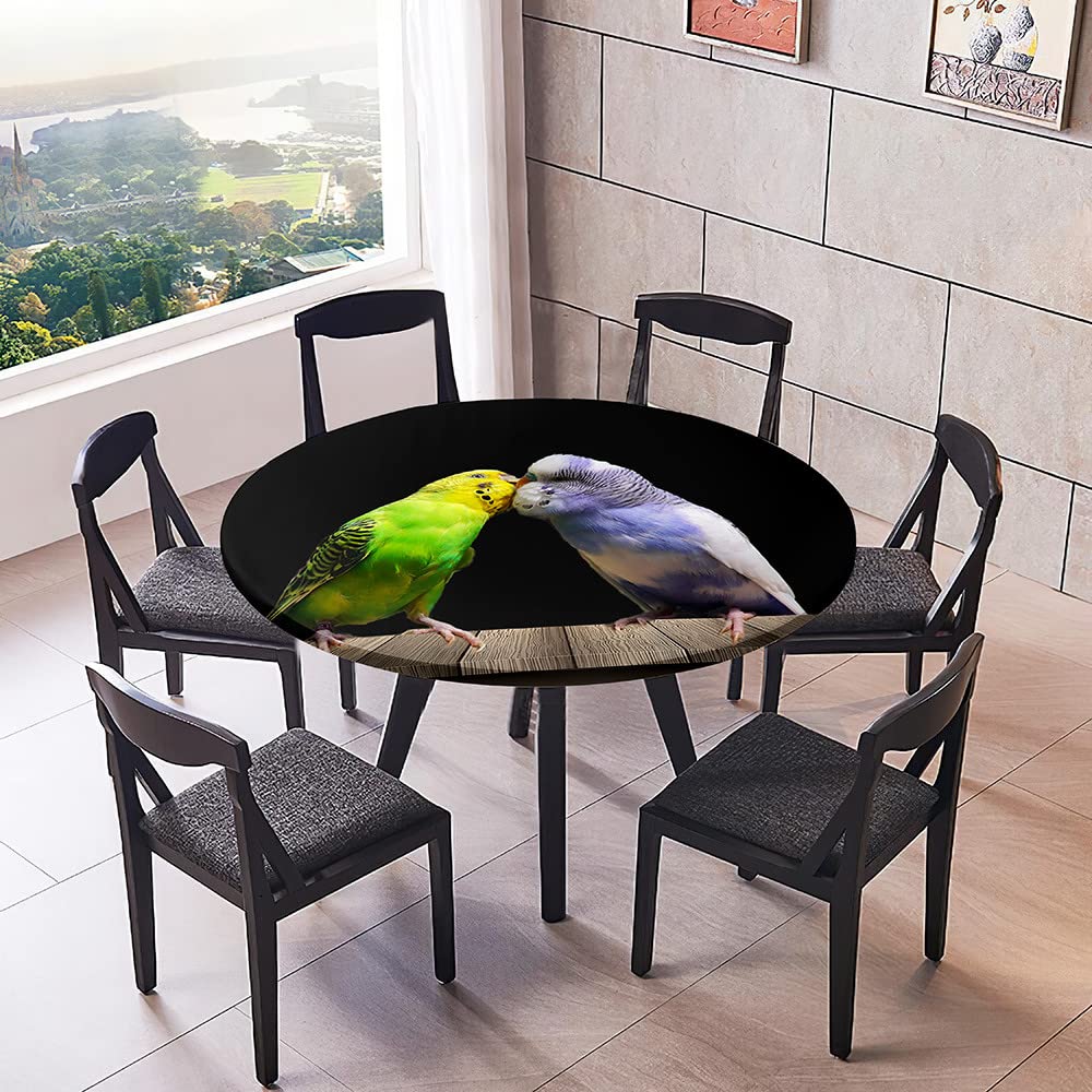 Morbuy Rondes Nappes Avec Bord Élastique, Nappes Rondes Anti Taches Lavable, 3D Imperméable Polyester Nappe De Table Imprimé De Perroquet Pour Cuisine Jardin Fête Table (Forêt,170cm