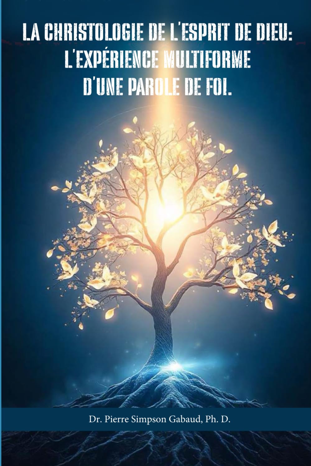 La Christologie de l’Esprit de Dieu: L’expérience multiforme d’une Parole de Foi