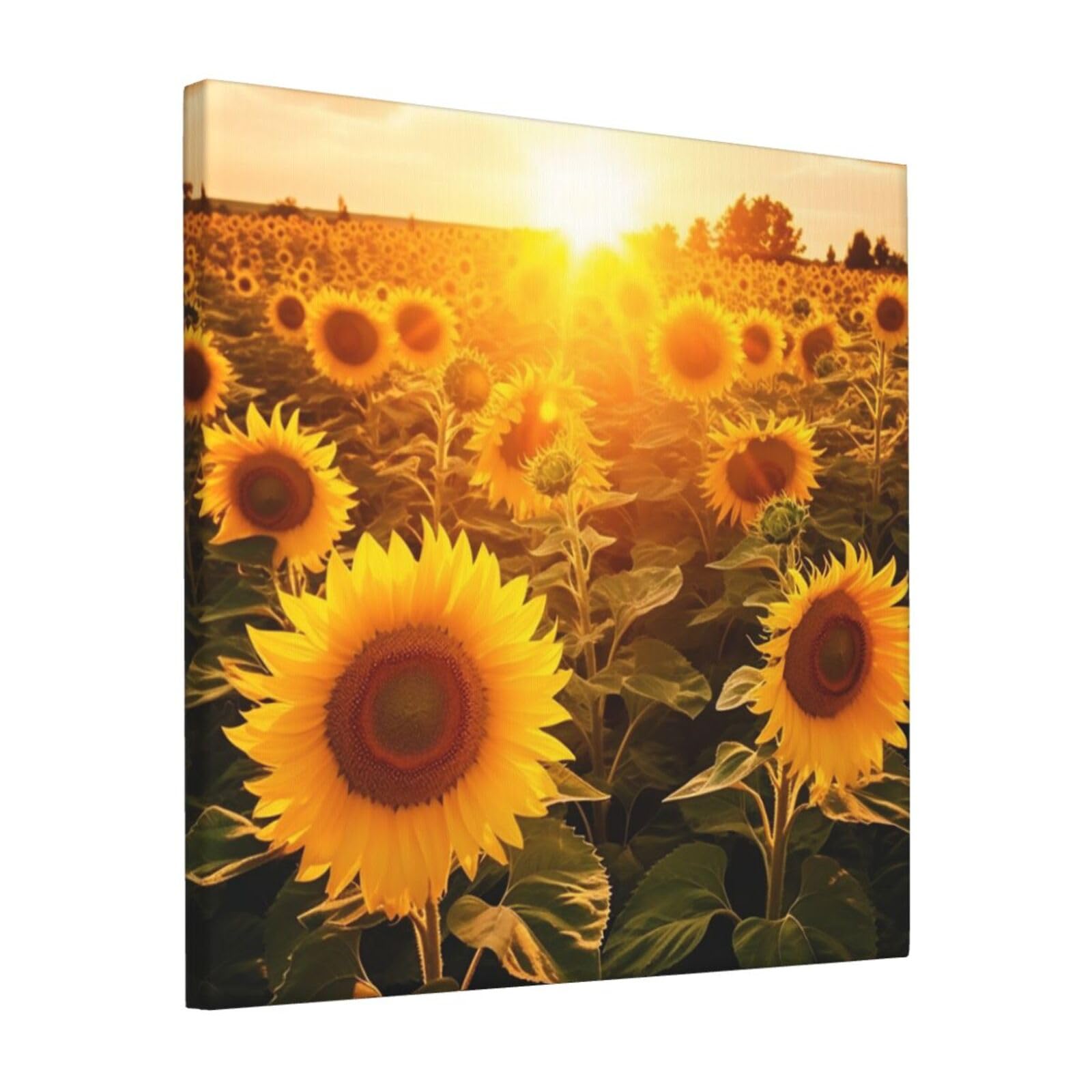 FodPand Sunshine Sunflower Field Canvas Wall Art for Living Room Wall Decor 12"x12" Modern Artwork Painting Pictures Hanging Canvas Prints Aesthetic Wall Art for Bedroom Bathroom Office Wallart Decor