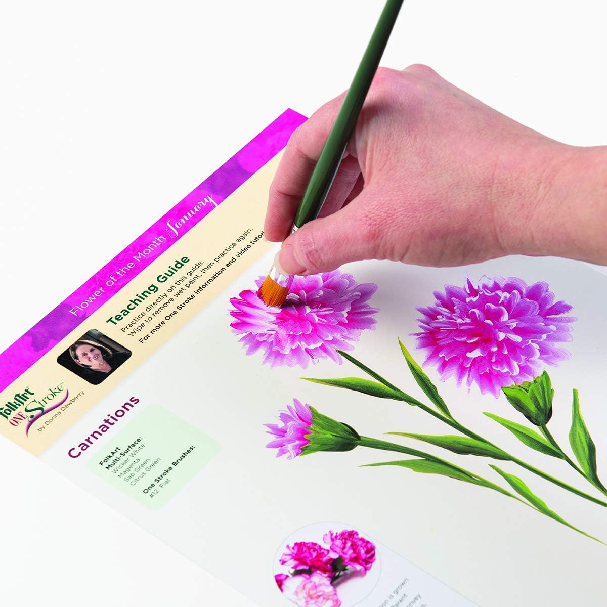 FolkArt One Stroke Donna Dewberry Flowers of the Month Let's Paint Kit, 2 ounce