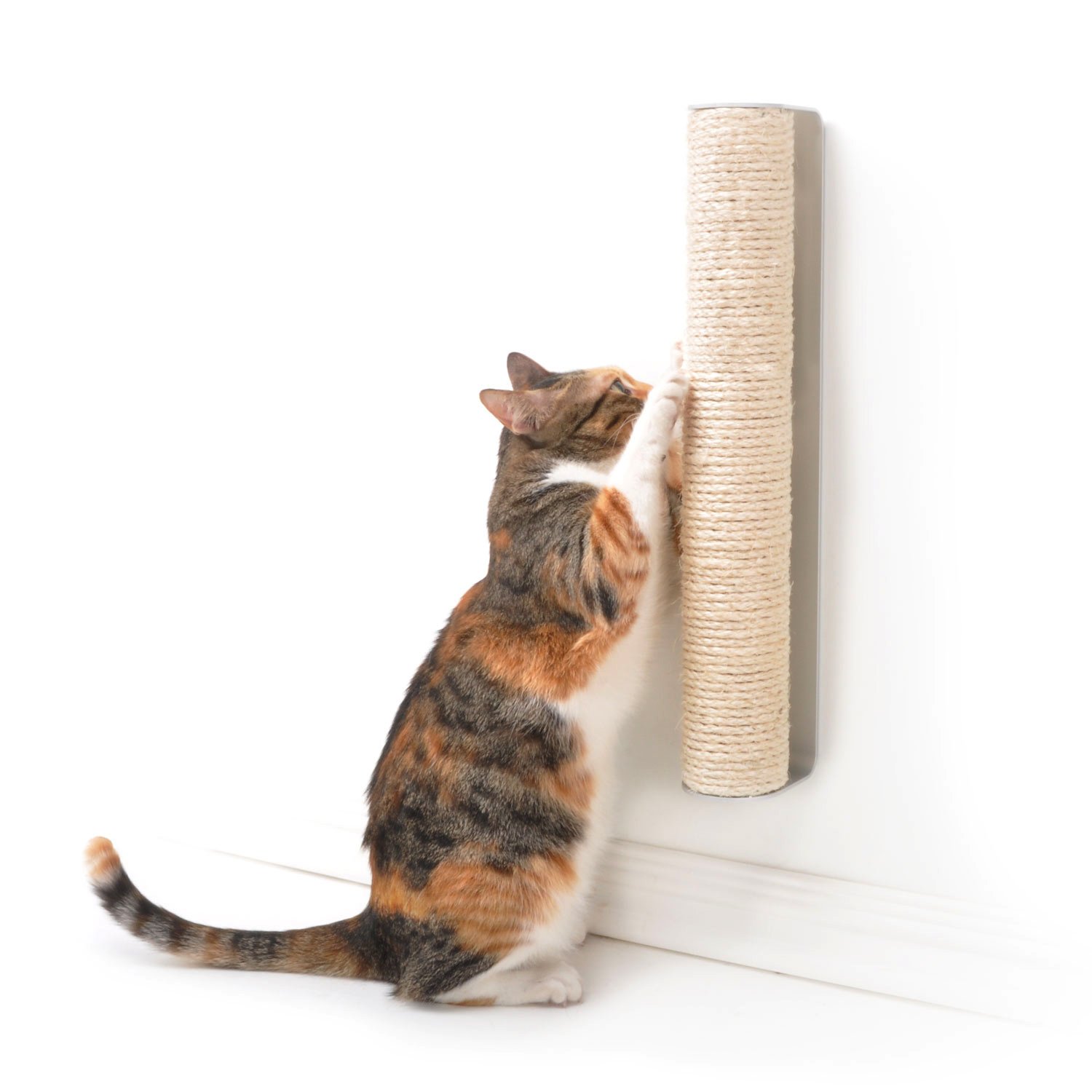 wall mounted cat scratching board