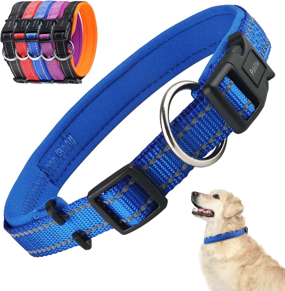 Amazon.co.uk Basic Dog Collars Basic Dog Collars / Dog Collars Pet
