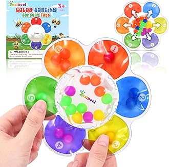 Sensory Toys Color Sorting Toys: Quiet Fidgets for Classroom Montessori Toy for Toddlers, Fine Motor Skill Games Preschool Learning Activities Calm Dwon Travel Toy for Boys Girls Gifts Ages 1-3 3-5