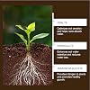 Soil Activator for Plants, Activator Mineral Source, Nutrients Natural 60G Fertilizer for Fruit Houseplants Garden Vegetable Bean Evergreen Trees Quick Start Planting Flower