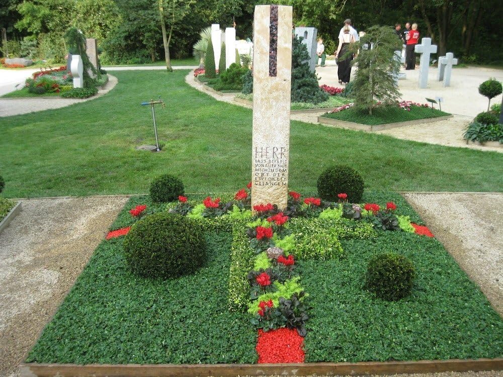 Stauden Gänge 10 x Cotoneaster dammeri 'Radicans' Teppichmispel winterhart | Immergrüner Bodendecker mit roten Beeren für Sonne bis Halbschatten, mehrjährig, winterhart, robust, 9x9 cm Topf