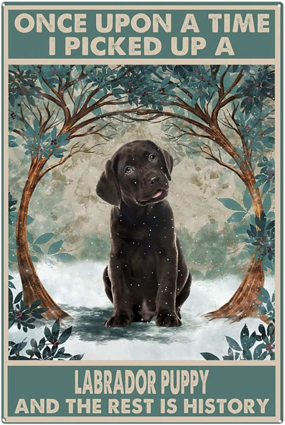 Funny Tin Bathroom Signs Metal Sign Chocolate Labrador Puppy Once Upon a Time Signs Chocolate Labrador Lover Signs Funny Dog Wall Art Chocolate Labrador Wall Decor Tin Sign for Bathroom 8x12 inch