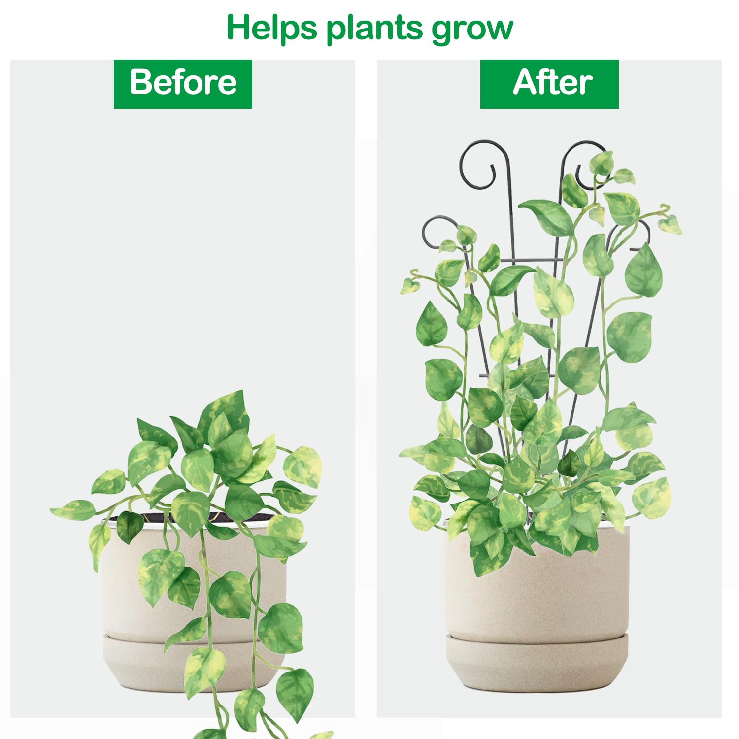 3 Piezas Espaldera para Plantas Trepadoras, Enrejados De Plantas Trepadoras, Enrejado De Jardín para Plantas De Interior, Enrejado De Metal para Plantas En Maceta, Adecuado para Flores De Luna, Rosas