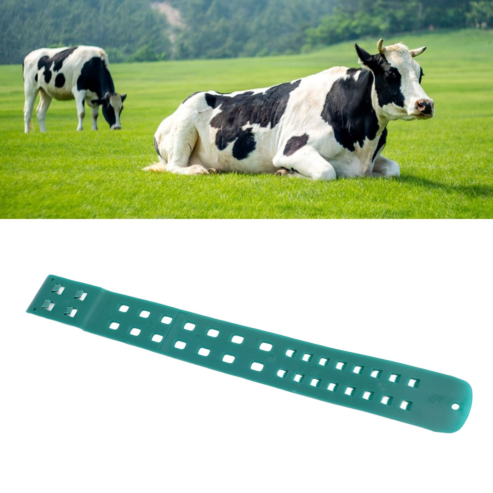 Podomètre de Vache, Bande de Pied, Outil Efficace d'avertissement