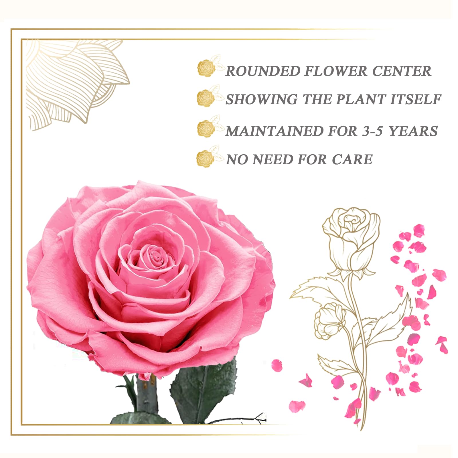 Rosa Stabilizzata Vera in Vetro, Rosa Eterna Realizzati con Rose Vere, Fiori Stabilizzati sotto Vetro a Cupola, Regalo Donna Compleanno, Regalo Mamma, Regalo Fidanzata, Moglie,Rosa