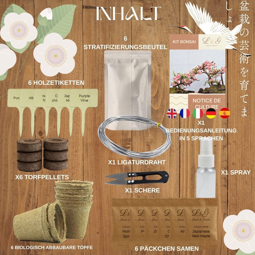 L&G Bonsai Starter Kit  Bonsai Anzuchtset mit 6 wunderschnen, 100%  natrlichen Samen  Komplettes Bonsai Zucht Set mit Zubehr  Pflanzset fr  Anfnger  Bonsai Samen Set, Bonsai Aufzucht Set, Bonsa : Amazon.de: Garten
