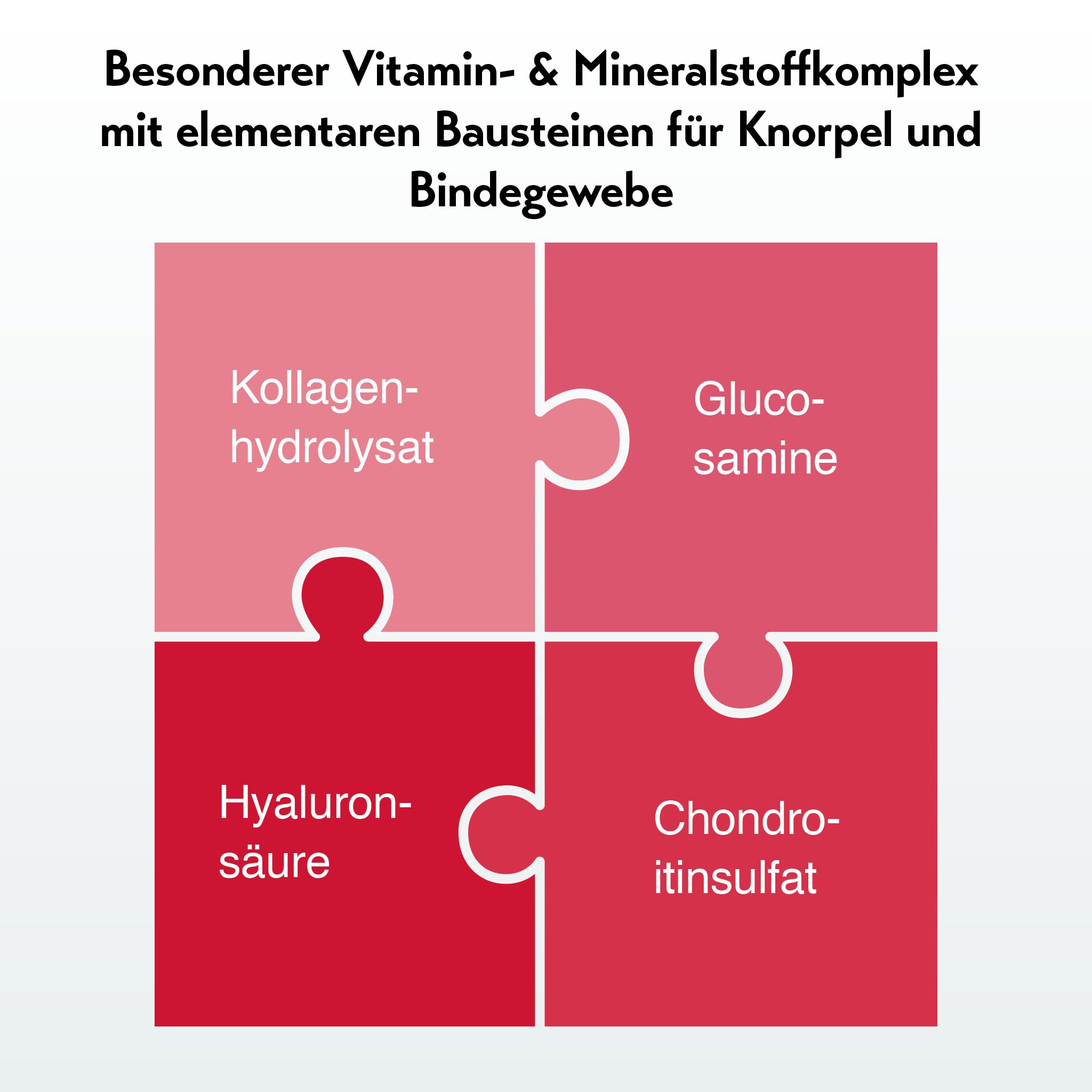 RubaXX® Komplex - Mikro-Nährstoffkomplex mit Kollagen, Glucosamin, Chondroitin und Hyaluronsäure sowie Vitaminen und Mineralstoffen - 30 Beutel - Qualitätsprodukt