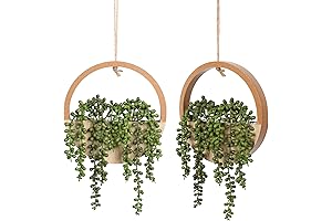 Floweroyal Wall Hanging Succulents