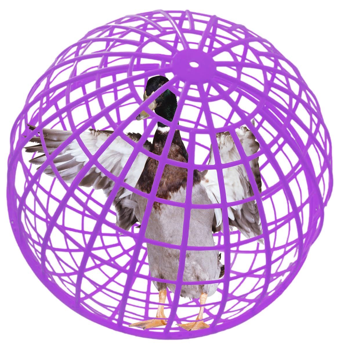 CalorMixs 19.6" Pet Removable Safety Cage Chicken Coop Ball Cage Rolling Enclosure Outdoor Farms Courtyard Plastic Hutch Secure Walking Net Rabbits