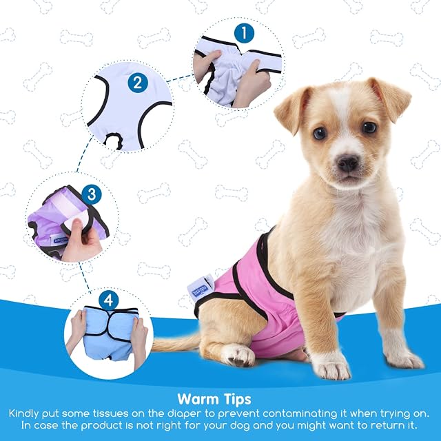Foto 4 de 8 de Nobleza 3X Pañales Lavables para Perros, Bragas Higiénica para Perras en Celo