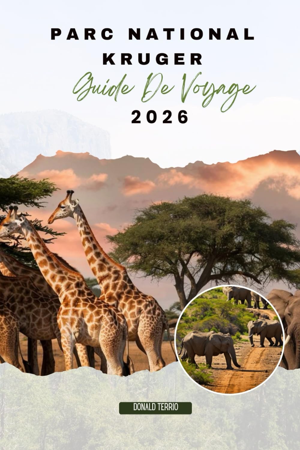 Parc national Kruger GUIDE DE VOYAGE 2026: Explorez les itinéraires de safari, les rencontres avec la faune, les observations du Big Five et les expériences culturelles en Afrique du Sud