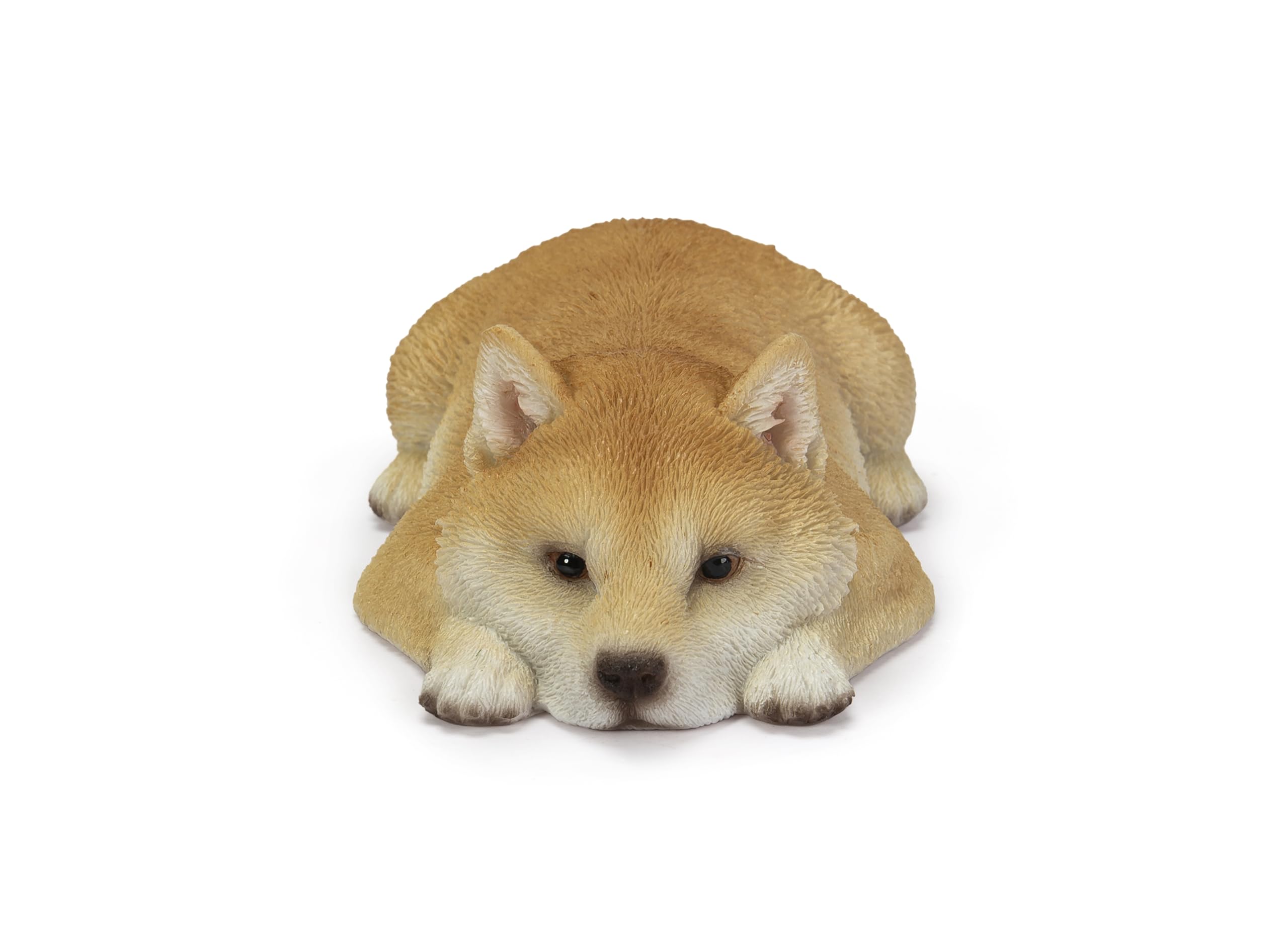 Amazon.co.jp: ウービア 柴犬カップ麵フタ押さえ 11×6×3.5