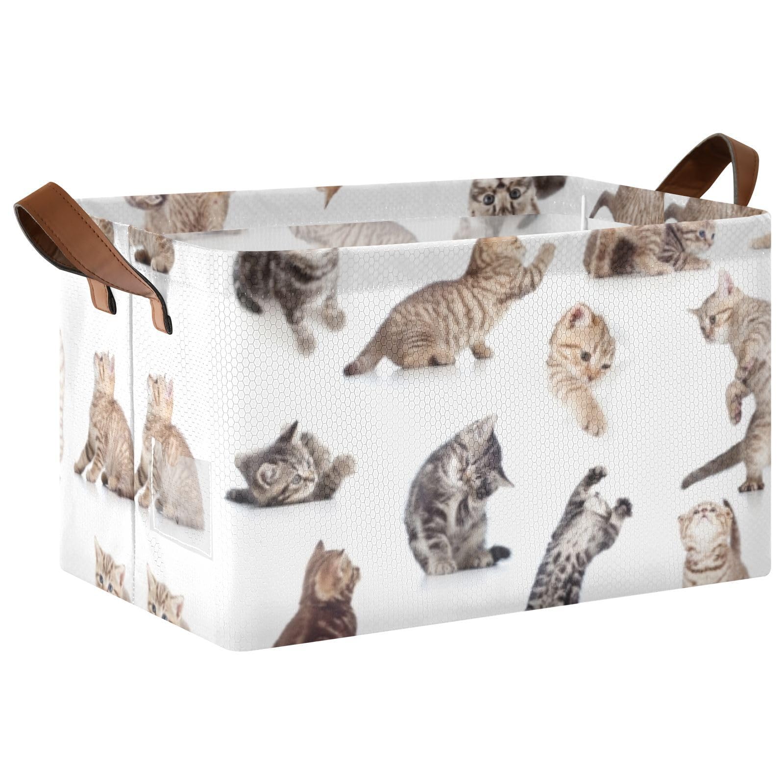Collection of Funny Playful Cats Kittens Isolated on White 1PC Rectangle Foldable Frame Basket Leather Handles Storage Bin for Laundry Bathroom Organizer M 16.9 x 11.4 x 10 inch