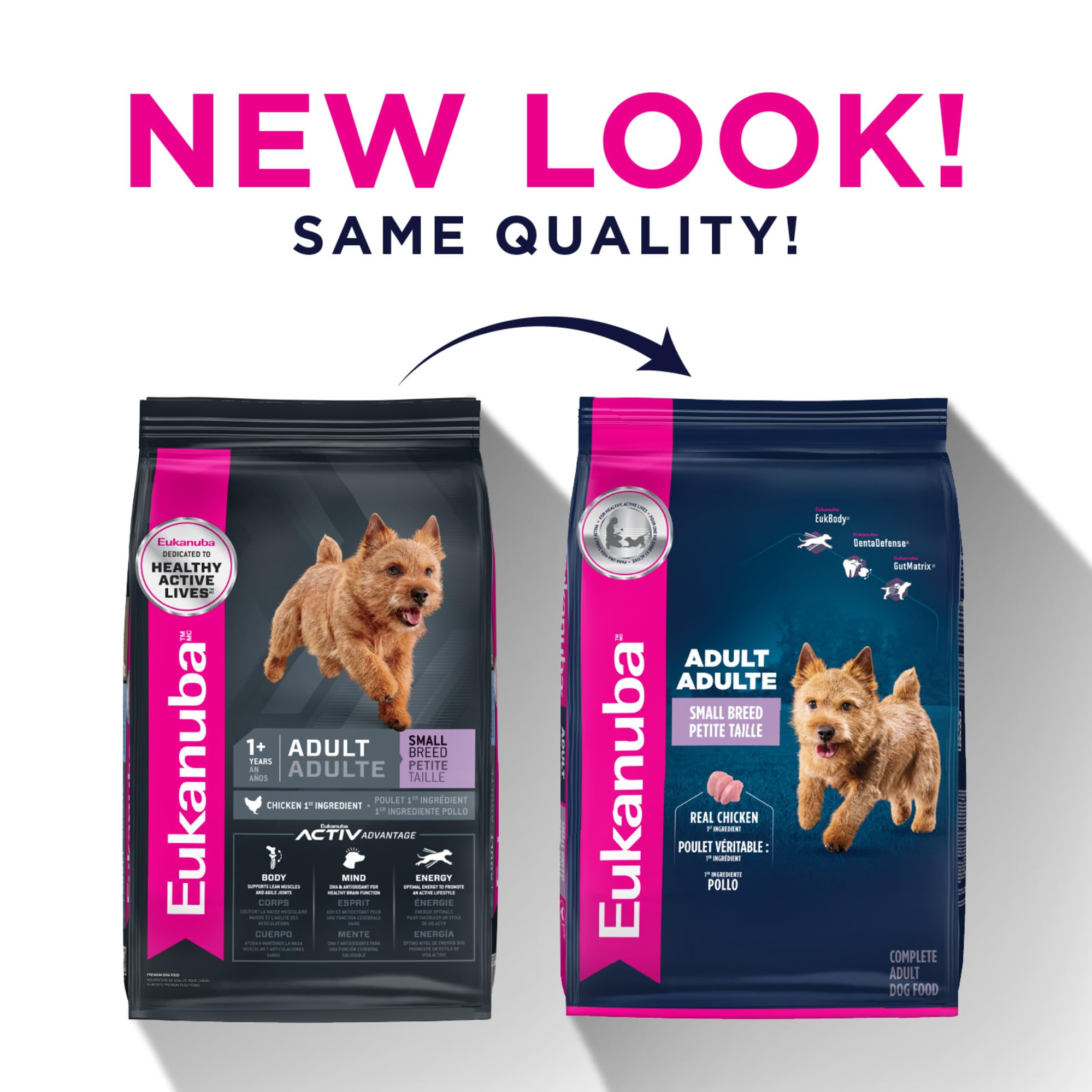 Eukanuba Adult seco Perro Alimentos