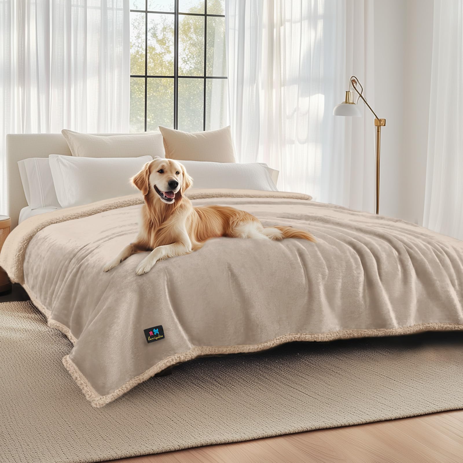 Luciphia Waterproof Pet Blankets, Liquid Pee Proof Dog Blanket for Sofa Bed Couch, Reversible Sherpa Fleece Furniture Protector Cover for Small Medium