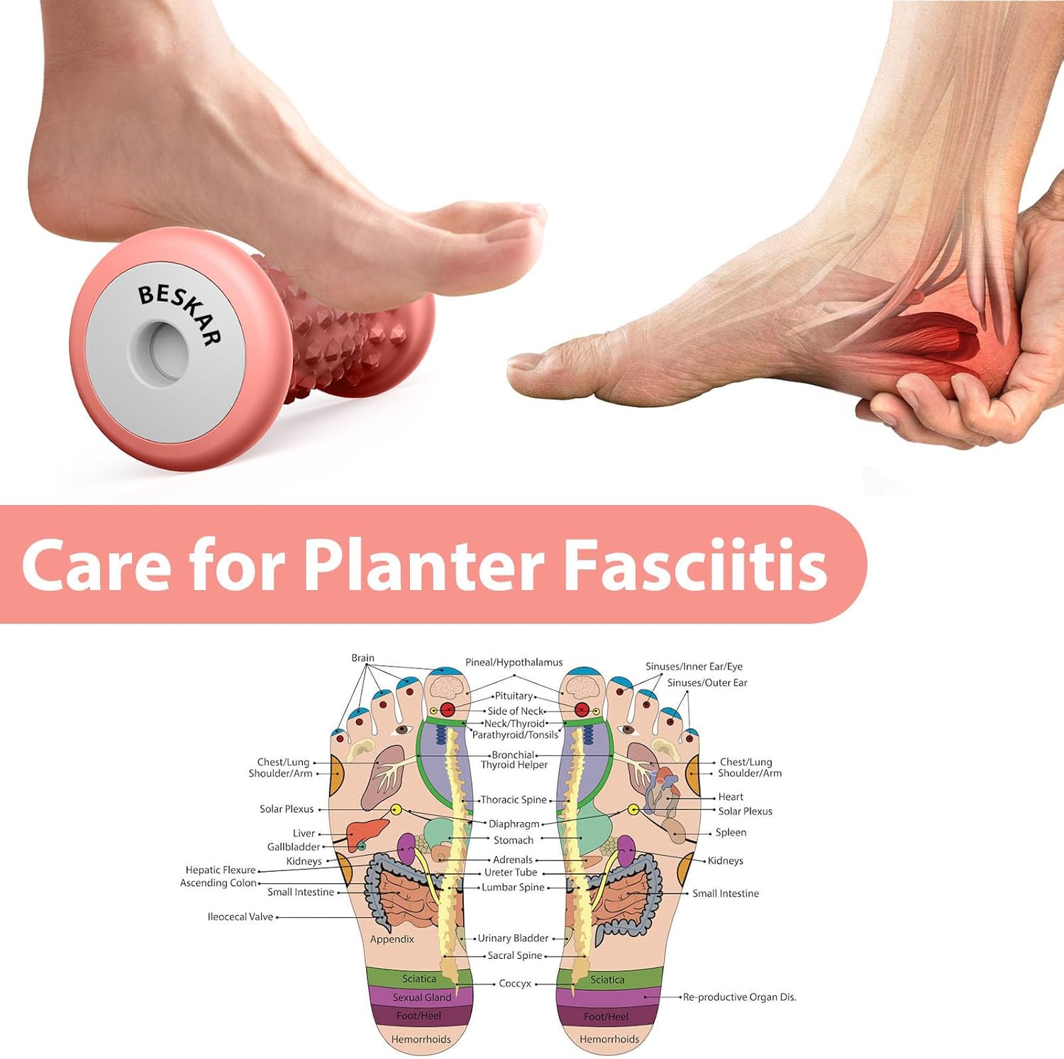 BESKAR Foot Massage Roller for Plantar Fasciitis Relief, Portable Reflexology Tool Pressure Point Massage Rollers, Deep Tissue Massages for Relieving Feet Arch Heel Pain, Myofascial Pain Syndrome - Image 3