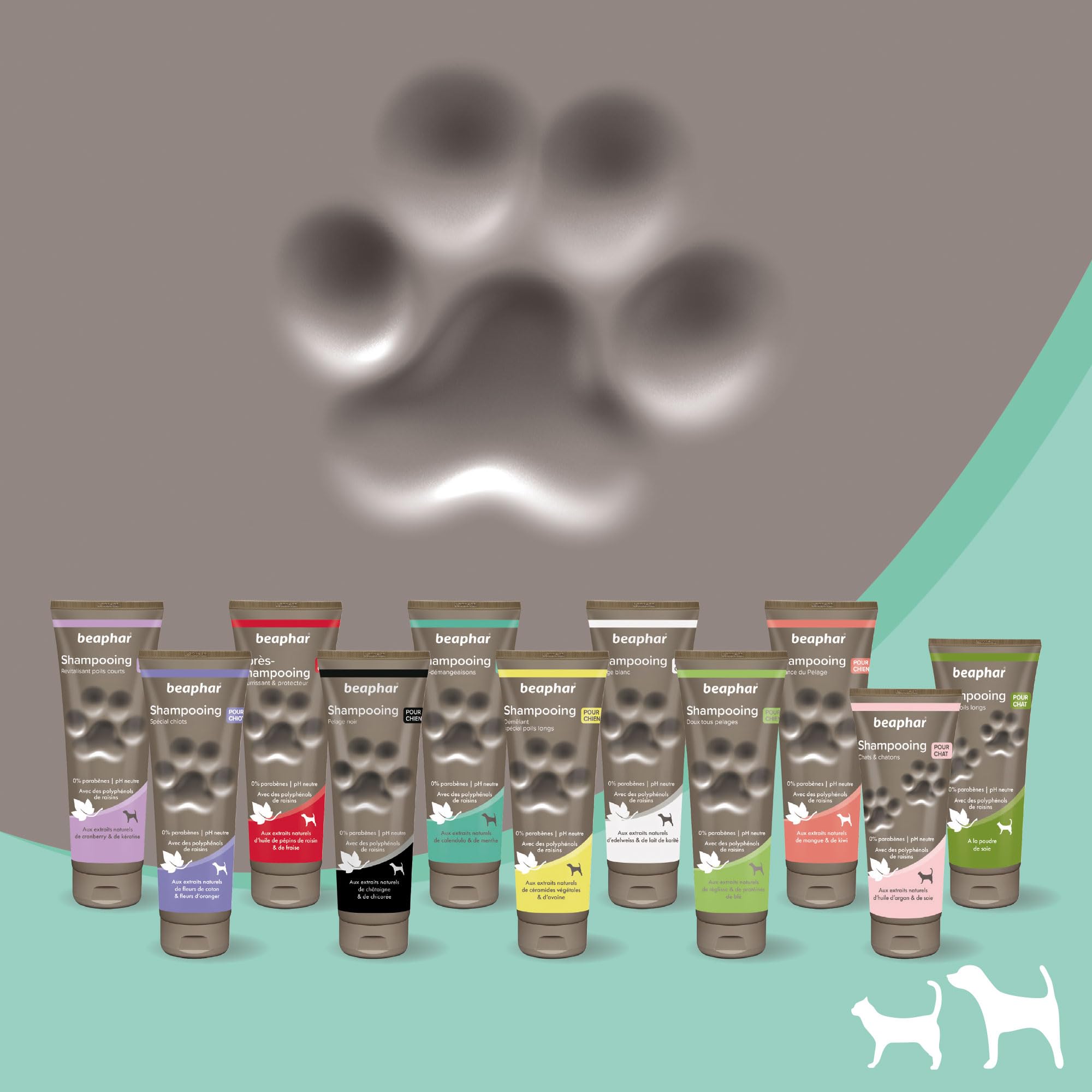 BEAPHAR – Shampoing Anti-démangeaisons pour chien – Extraits naturels de Calendula, de Menthe et du polyphénol de raisin – Apaise les démangeaisons et irritations – pH neutre et sans parben – 250ml