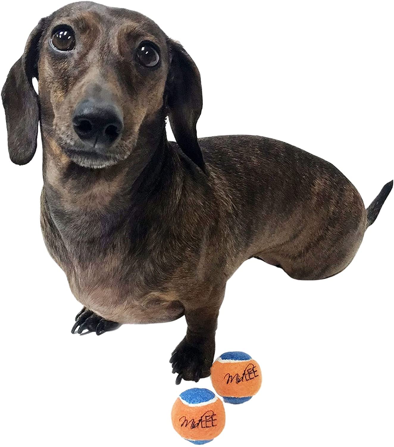 Squeaky Mini pelota de tenis para perros, Juguete para perro de 1.5 pulgadas, paquete de 12 (naranjaazul)