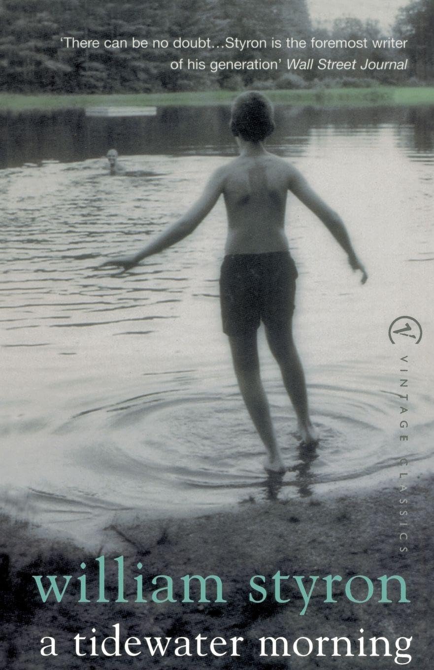 Buy A Tidewater Morning — BookShops.in
