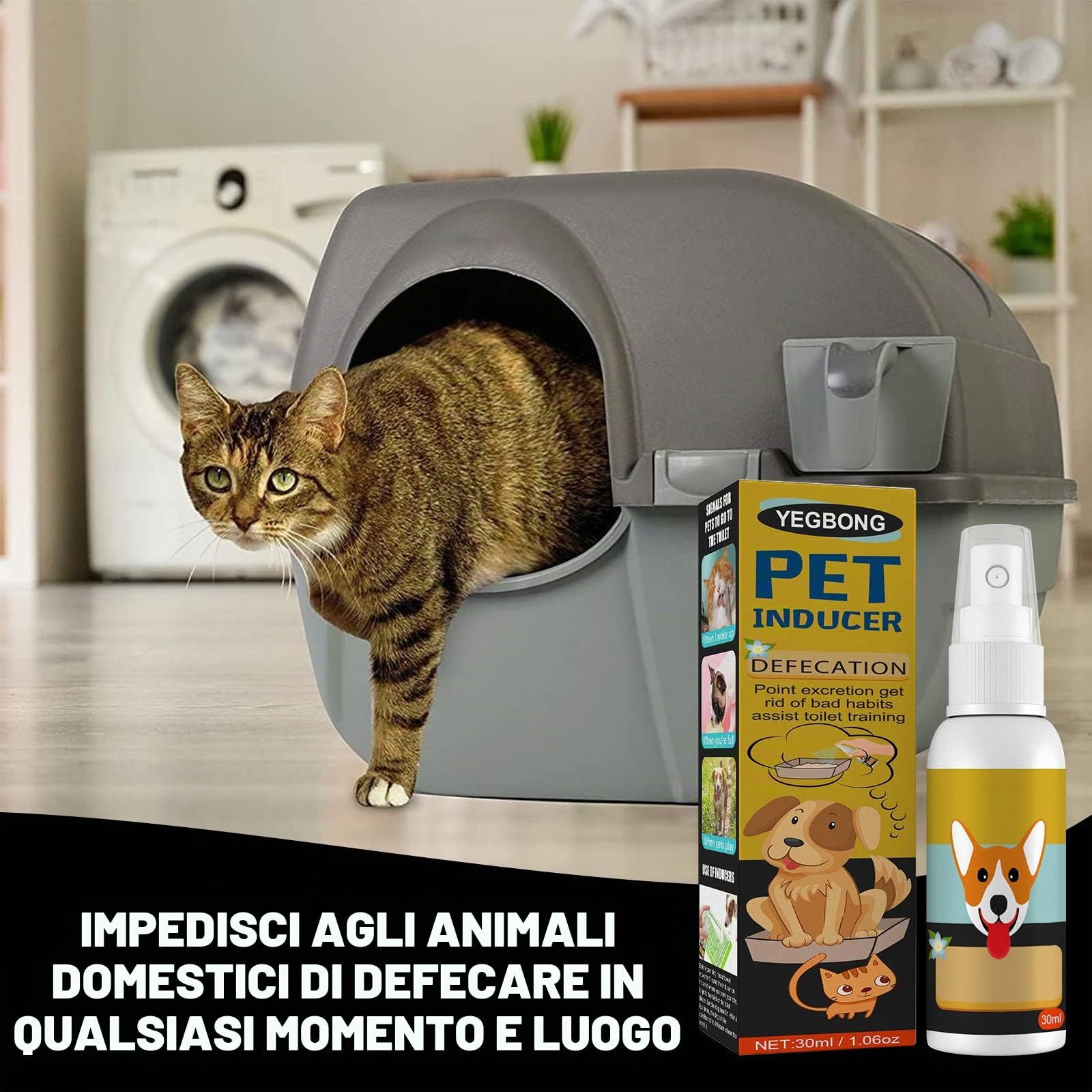 Spray addestramento cuccioli vasino per cani gatti pipì qui