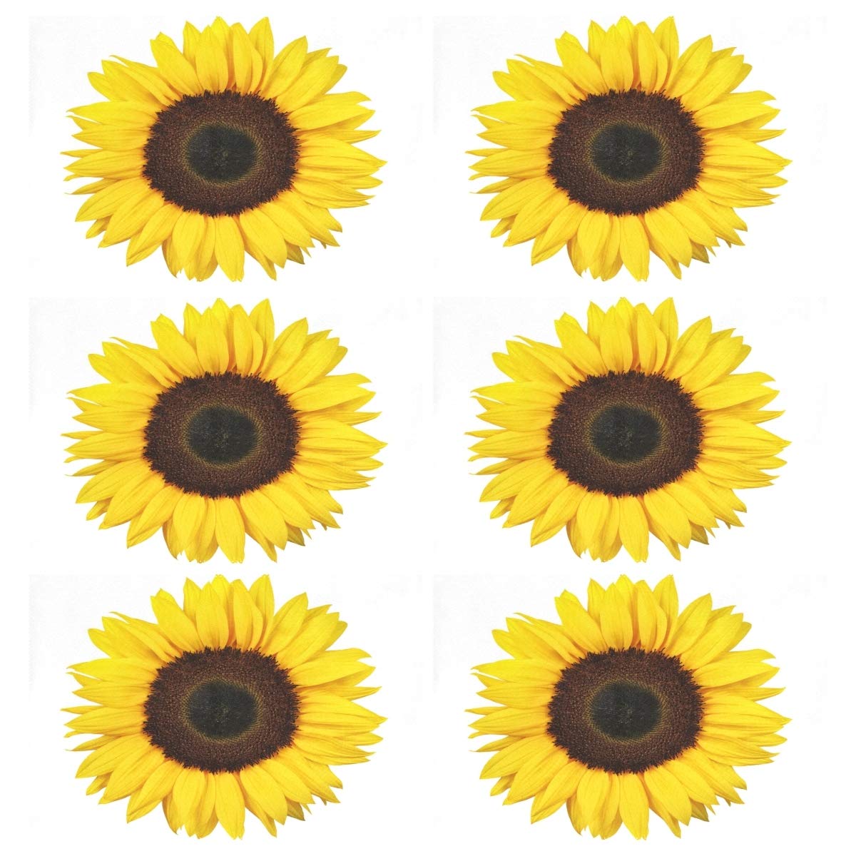 visesunny Manteles individuales para decoración de escritorio, juego de 6 manteles individuales antideslizantes y resistentes al calor para comedor, hogar, cocina, interior, 12 x 18 pulgadas