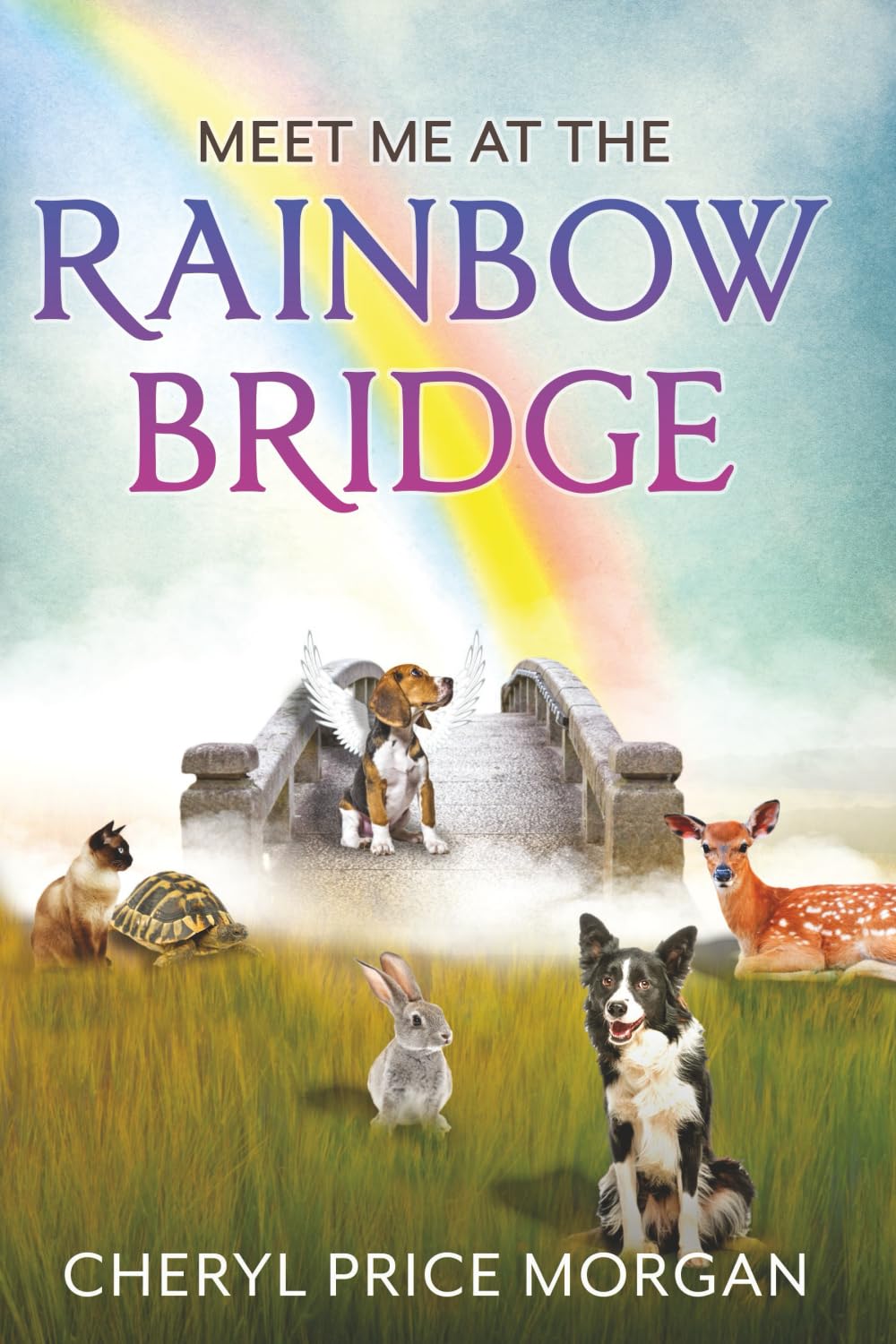 Meet Me at the Rainbow Bridge      Paperback – July 27, 2025