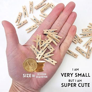Mini Clothespins, Mini Clothes Pins for Photo Natural Wooden Small Picture Clips for Crafts 1 Inch 100 PCS Tiny Pegs Decorative Wood Clips for Wall Hanging Pictures