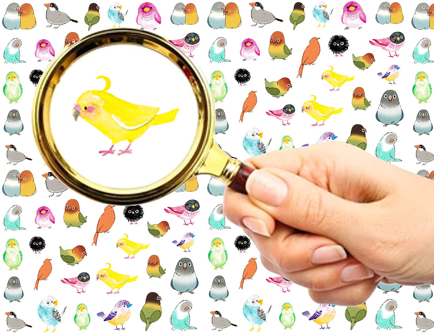FLONZNAIL Nail Stickers Decal Transfers (5 Sheets) Cute Small Parrots Birds Vintage Watercolor Illustration