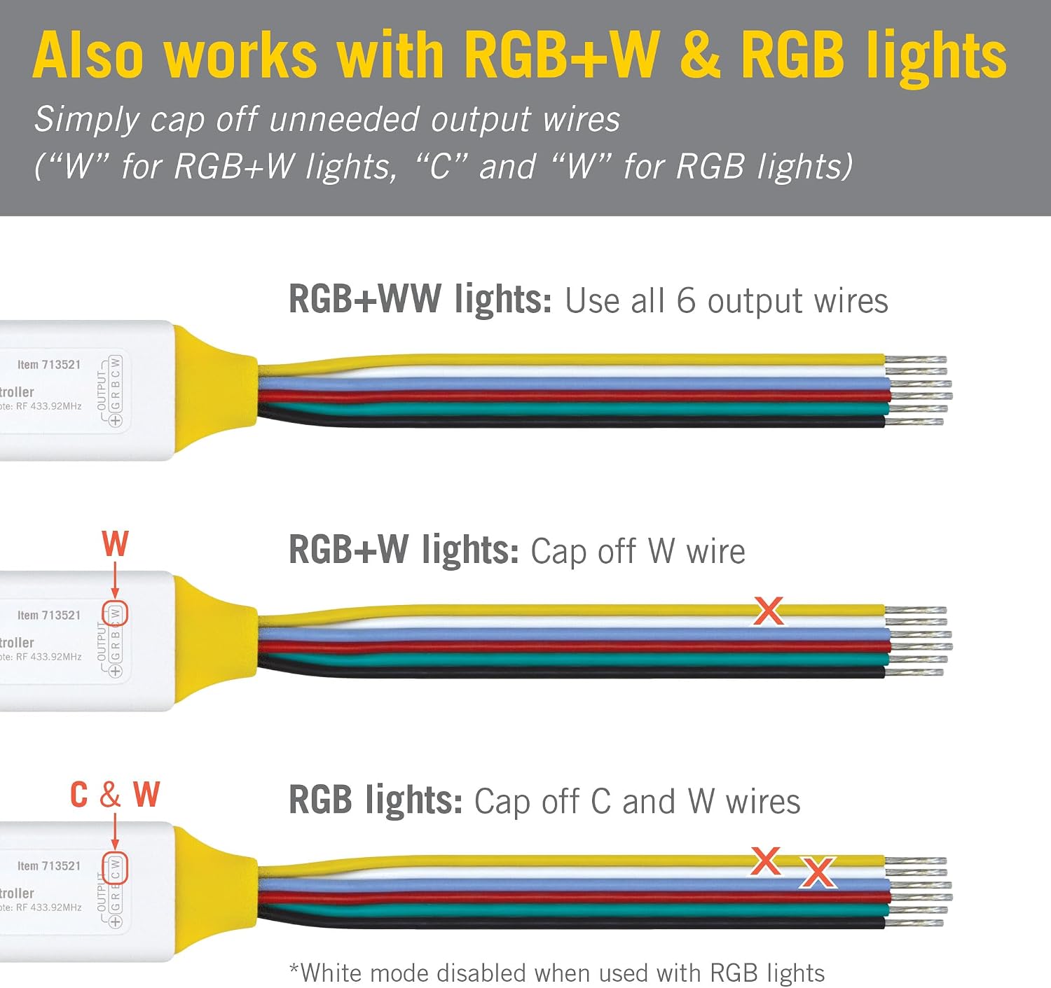 Armacost Lighting Outdoor RGB+WW LED Controller 713521