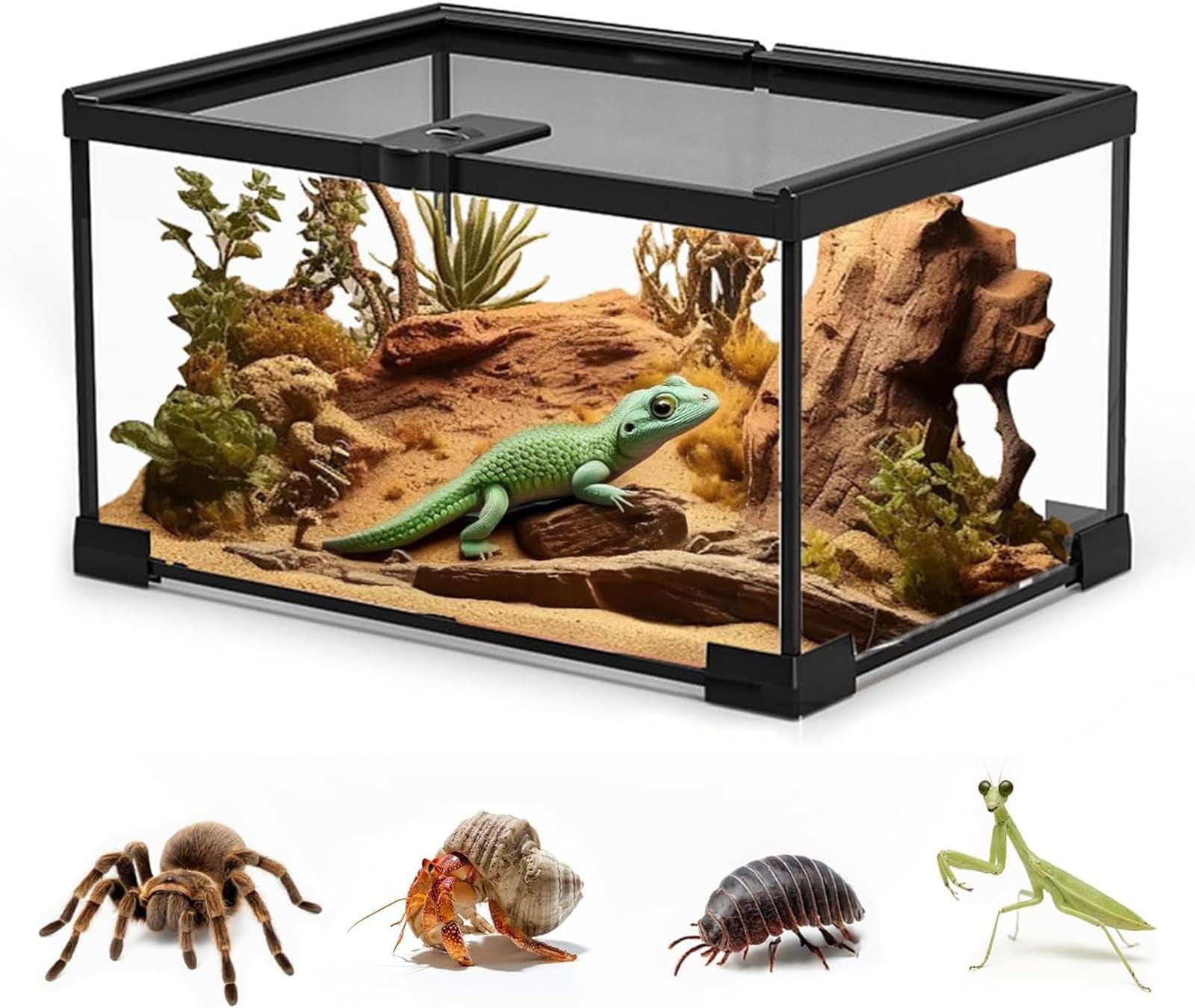 Reptile Glass Terrarium Tank, Full View Amphibians Box Habitat Enclosure Cage, Terrarium with Top Opening & Screen Ventilation for Leopard Gecko, Lizard, Hermit Crab, Spider, Frog (30x20x20CM)